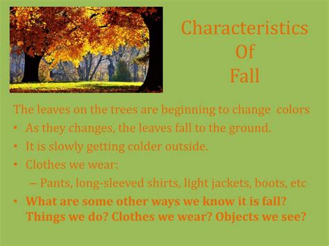 fall season characteristics